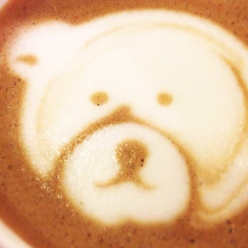 thepaotato's profile picture. Regret nothing
