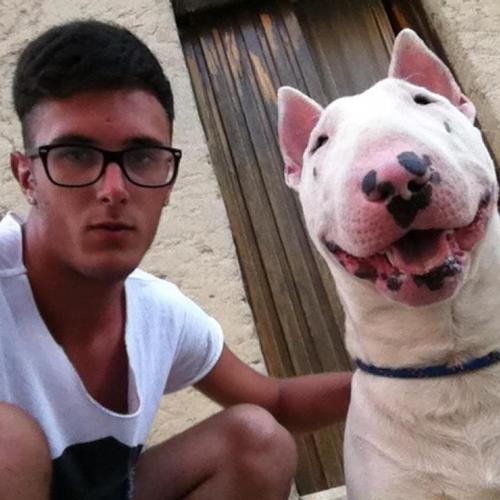 digiangiacomo's profile picture. 