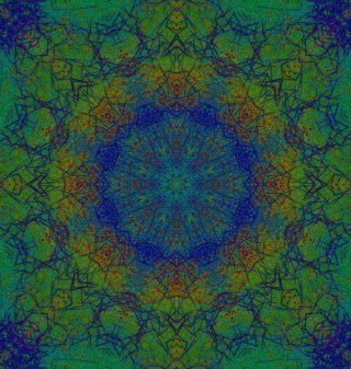 CheralTsuchiya's profile picture. 