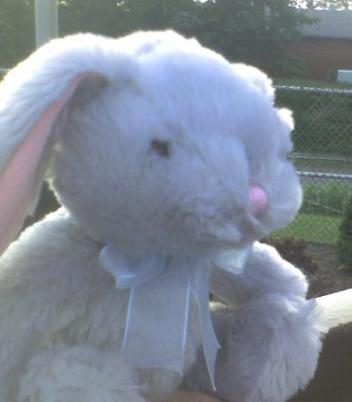 jgogal's profile picture. The Jim! Watching the world from his WABE