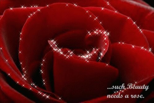 tooffy55's profile picture. 