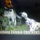 Helen McCormack  - @Elimack1 - Twitter