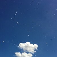 haruharuharuby (@haruharuharuby) 's Twitter Profile
