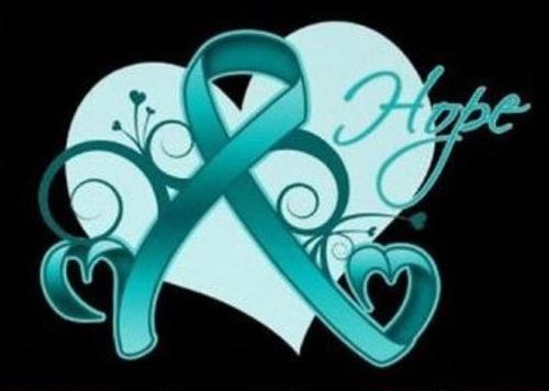 Publicity and Awareness Sectretary for the PCOS inspiration foundation.