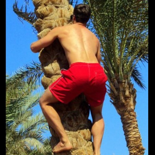 apatrick732's profile picture. 