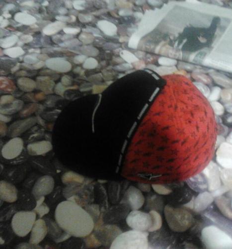 adripared's profile picture. no tengo