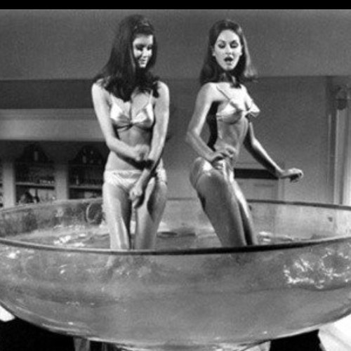 VEROVALETTE's profile picture. Vend du bonheur chez @edenpark @XVFrance 
Mes tweets n'engagent que moi