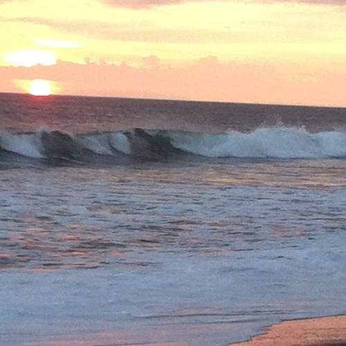 CoachMein's profile picture. 