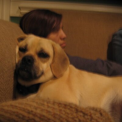 Profile Picture of Madison (@AMBERRIFE1999) on Twitter