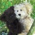 Dee H. Dodgson 🇺🇦 (@sherfordbear) Twitter profile photo Dee H. Dodgson 🇺🇦 (@sherfordbear) Twitter profile photo
