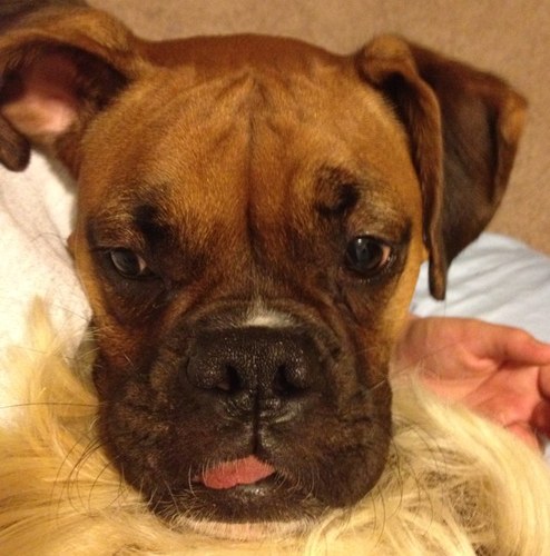 TiffHannay's profile picture. lonesome and ornery