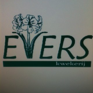 VOFEvers's profile picture. 