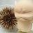 arnaldo548's profile image
