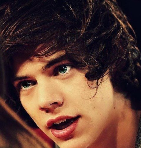 take me home___harry please follow me xx