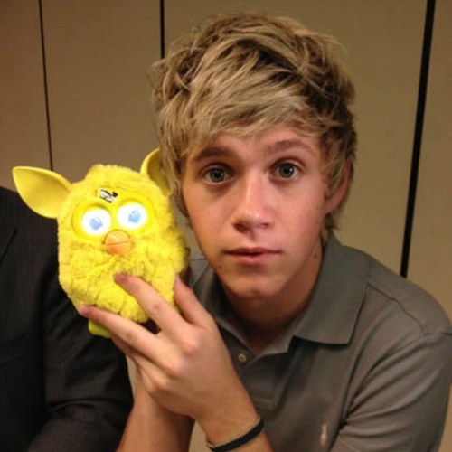 NiallDaFurby's profile picture. In love with One Direction. Ill never get 1/5 ):