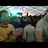 MartCollins685's profile image
