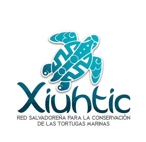 SeaTurtlesSV Profile Picture
