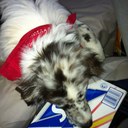 Monique Ryan - @MoniqueRyan2 - Twitter