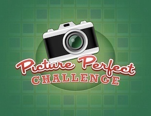 PicPerfectgame's profile picture. This is the official twitter account for Picture Perfect Challenge iphone/iPod/iPad app!  Follow us on Instagram:  picperfectgame