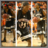 silky_slim34's profile image