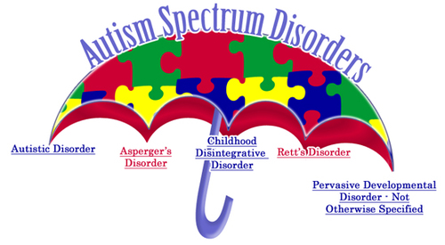 Genesis Behavior Center has been helping children with Autism and other disorders since 2003, and continues to strive for a child's well being.