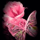 jane strickland - @strickland_jane - Twitter