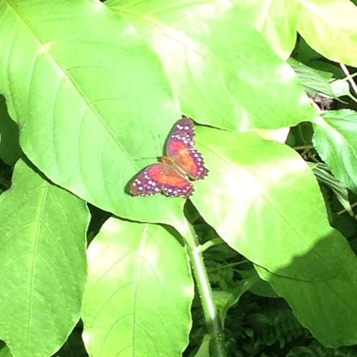 Cristi1414's profile picture. 