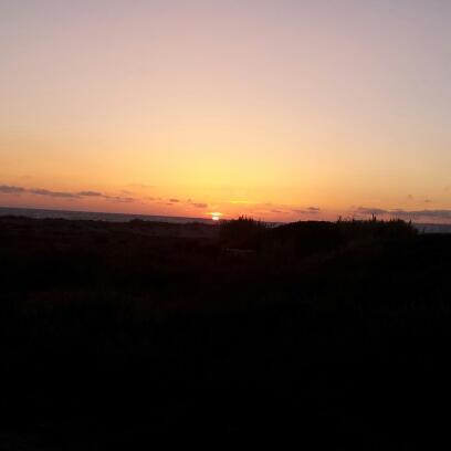 honi15's profile picture. 