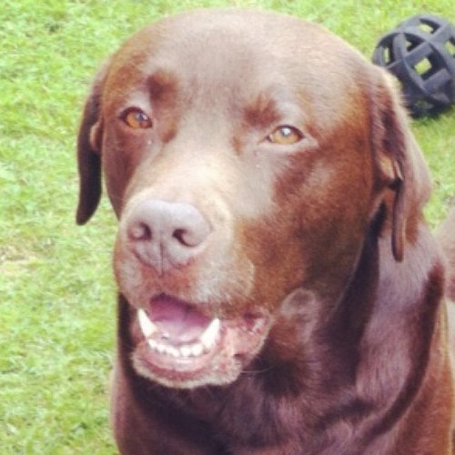 Blocke819's profile picture. 