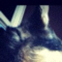 Kylie Swenson - @WolfieDragon59 - Twitter