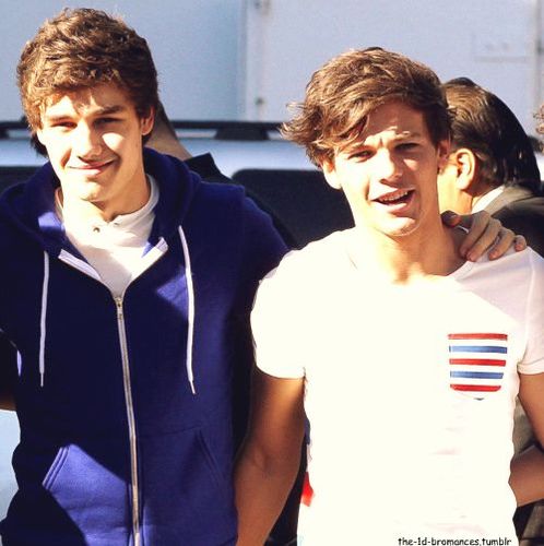 Hello I'm Samantha. I'm a directioner and will always be till the end. xx