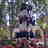 310Toni's profile image
