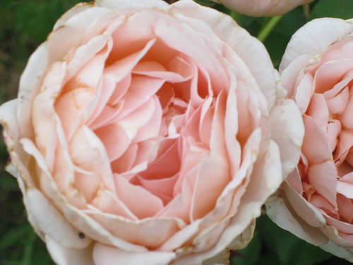 espressotime's profile picture. 