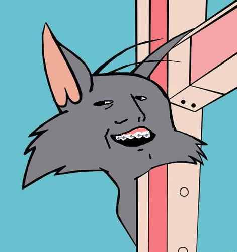 scegop's profile picture. 