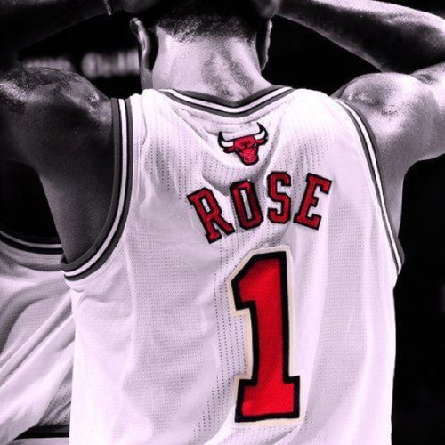 NBA superfan! My favorite team is the Chicago Bulls and my favorite player is Derrick Rose.