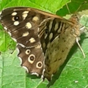 Ina Mason - @Inas_world - Twitter