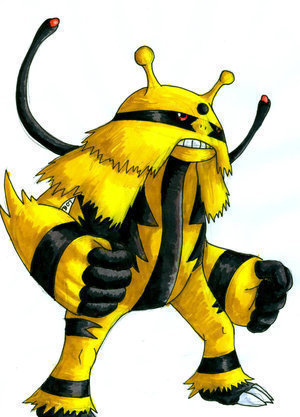Electro the Electivire. my Trainer is the one and only: @Gary_Oak151. ((RP))