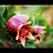 ftoo32's profile image