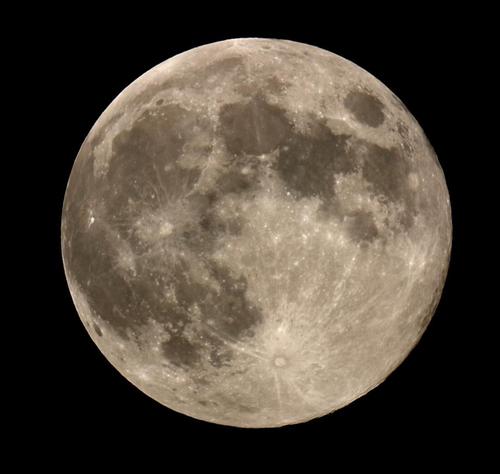 PArangioFebbo's profile picture. 