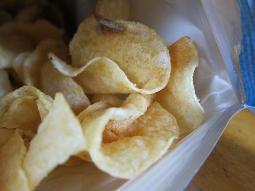 Starting the journey for the perfect potato chip. With kickstarters help can make a reality.