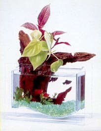 SevenPortsInc's profile picture. SevenPorts Inc. provides quality aquarium and exceptional home goods to retail stores across North America SevenPorts provides over 500 unique products.