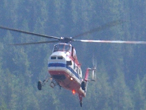 r5fam's profile picture. 