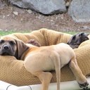 jackie gladden - @GladdenJackie - Twitter