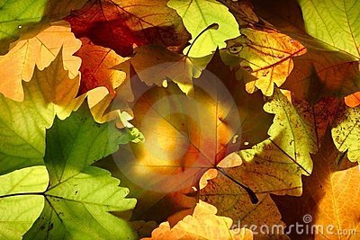 DMedC_'s profile picture. Daily Healthy Info http://t.co/vPcCZld24g