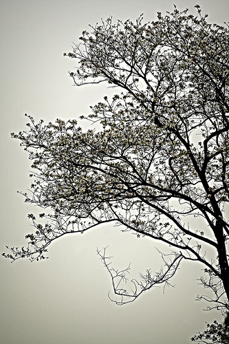 startups | product | photography | music | travel | food | Manipur