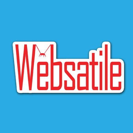 Versatile Website, Logo, Graphics Design Service with STREET VENDOR PRICE TAG!