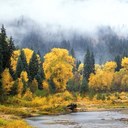 taylor collier - @taylorcollier13 - Twitter