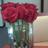 Heather Wiley (@heatherw1303) Twitter profile photo