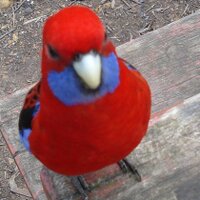 Michael Bode (@bode_e) 's Twitter Profile