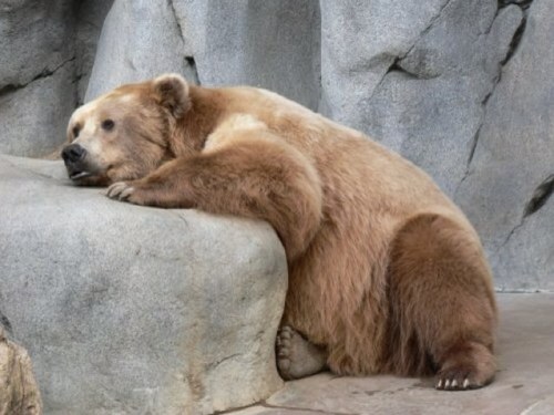 imsomiserable's profile picture. i don't like anything. i'm miserable.